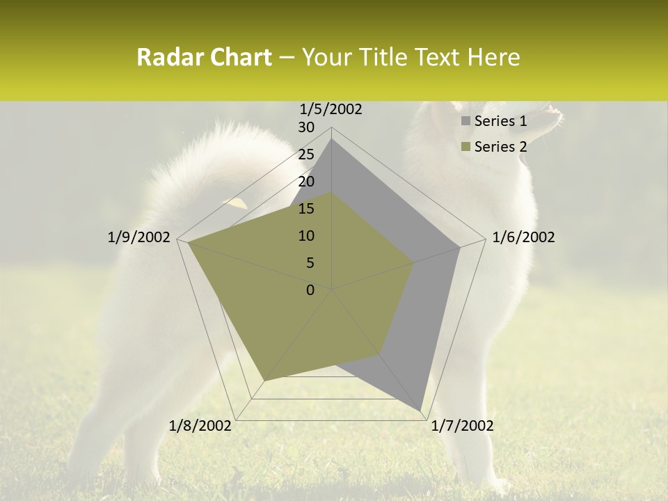 A Dog Standing In The Grass With A Sign In Front Of It PowerPoint Template