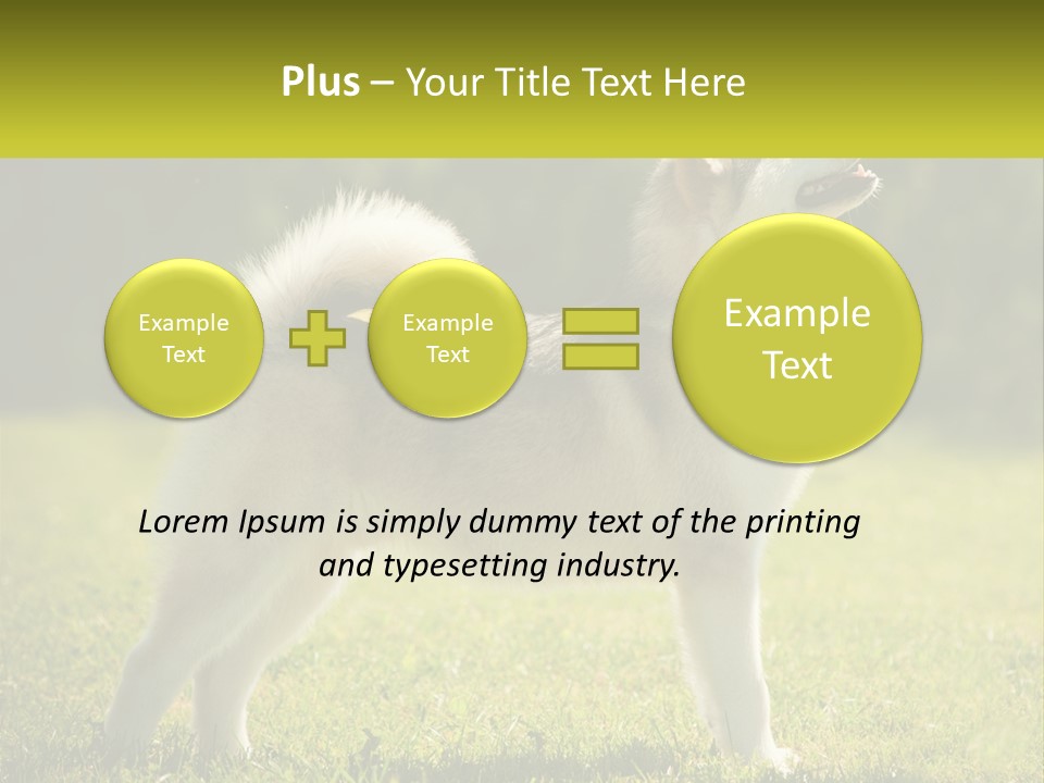 A Dog Standing In The Grass With A Sign In Front Of It PowerPoint Template