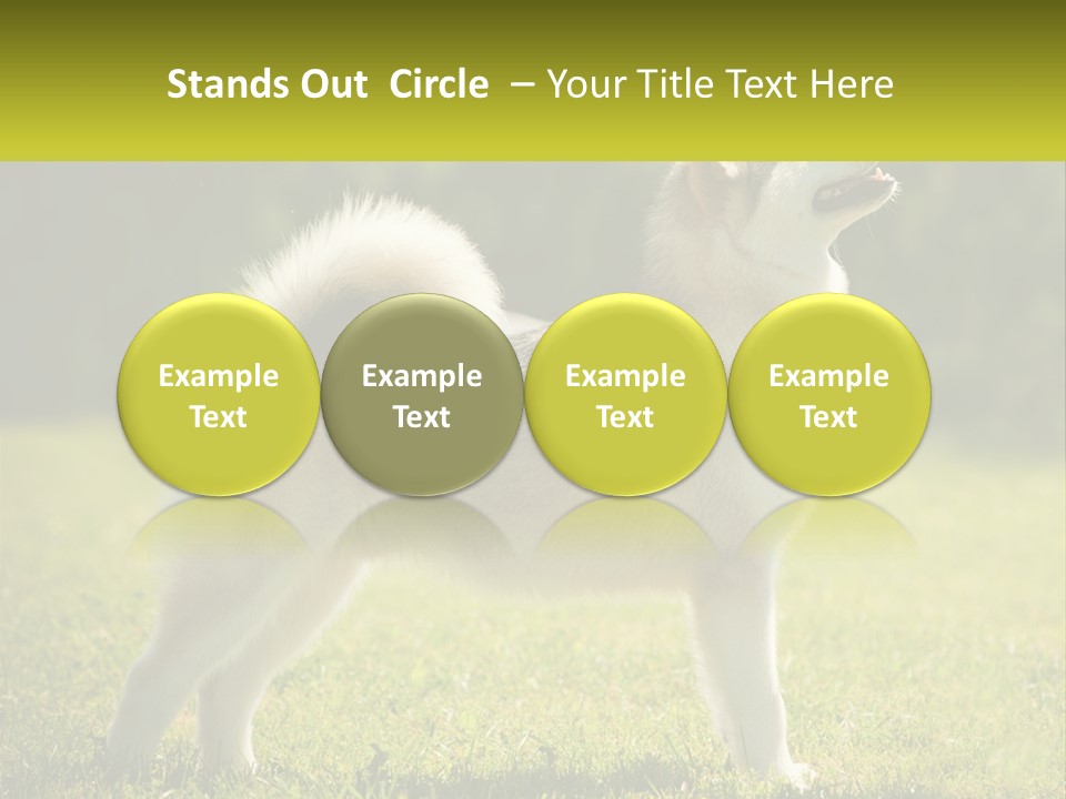 A Dog Standing In The Grass With A Sign In Front Of It PowerPoint Template