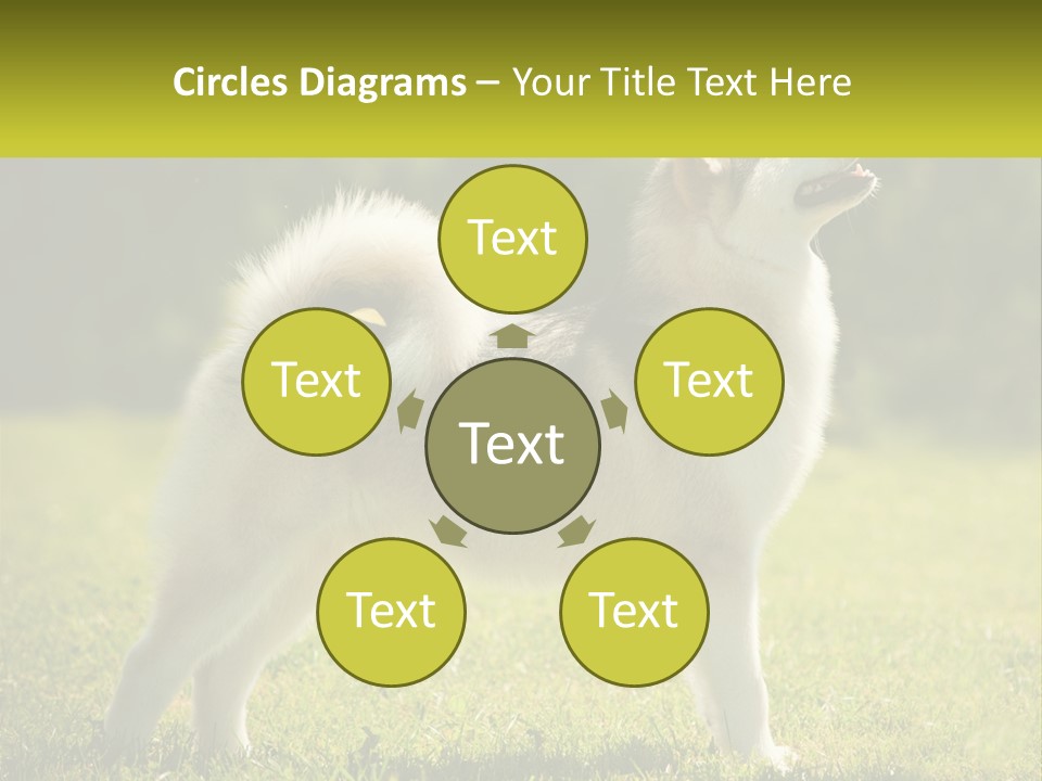 A Dog Standing In The Grass With A Sign In Front Of It PowerPoint Template