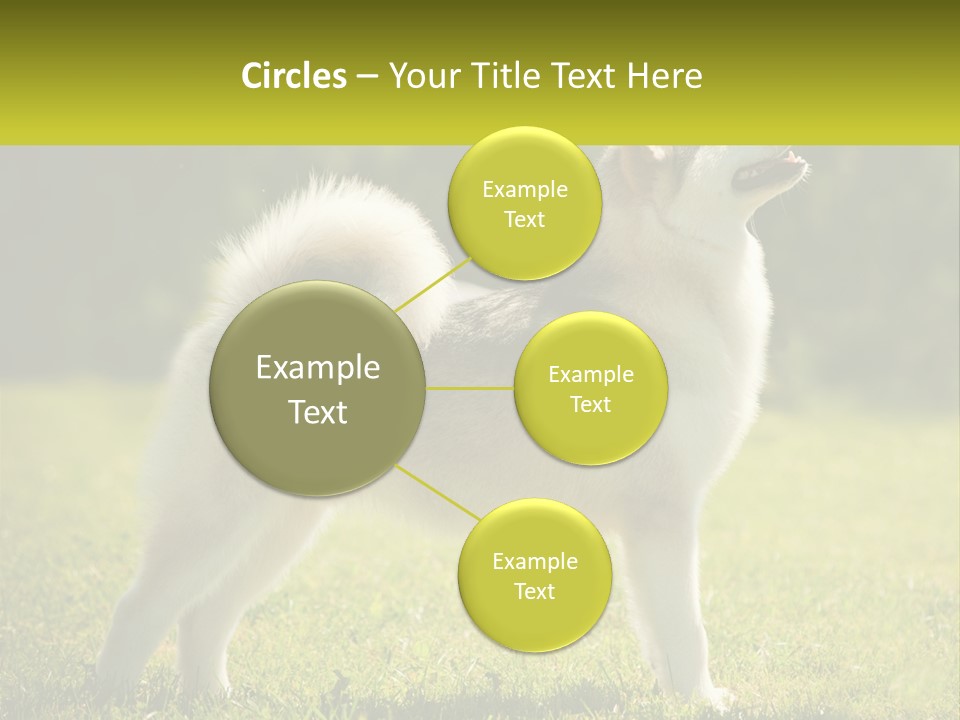 A Dog Standing In The Grass With A Sign In Front Of It PowerPoint Template