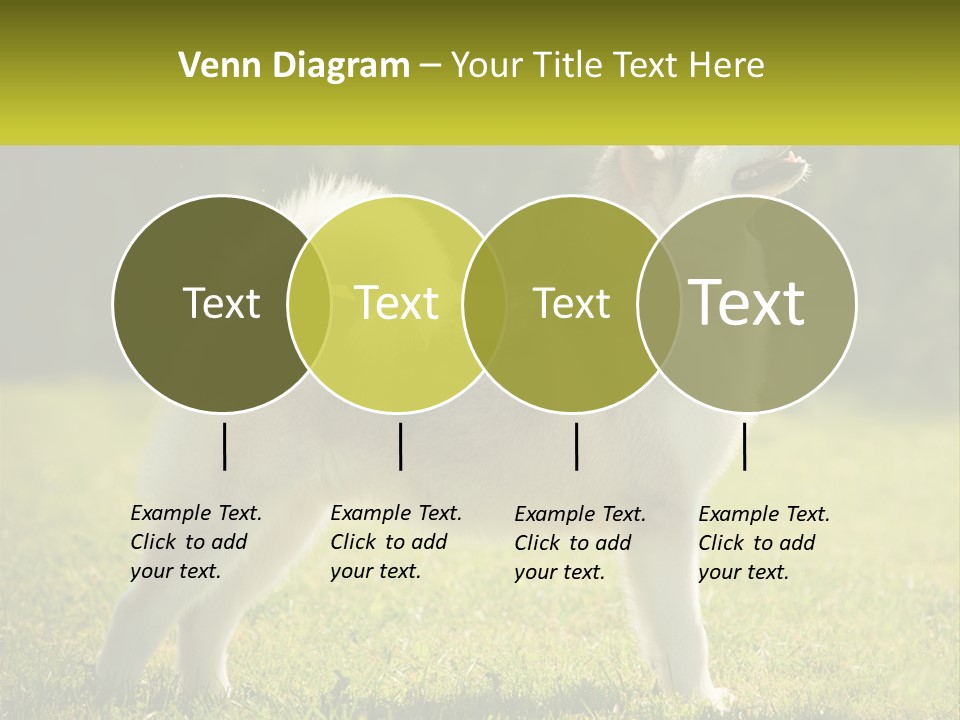 A Dog Standing In The Grass With A Sign In Front Of It PowerPoint Template