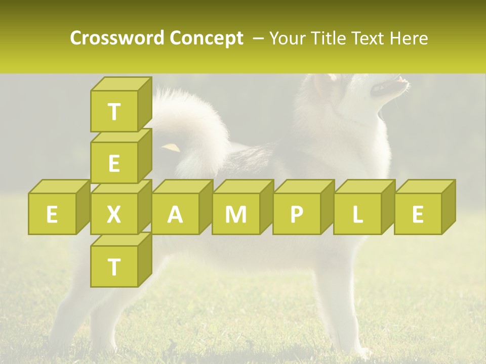 A Dog Standing In The Grass With A Sign In Front Of It PowerPoint Template