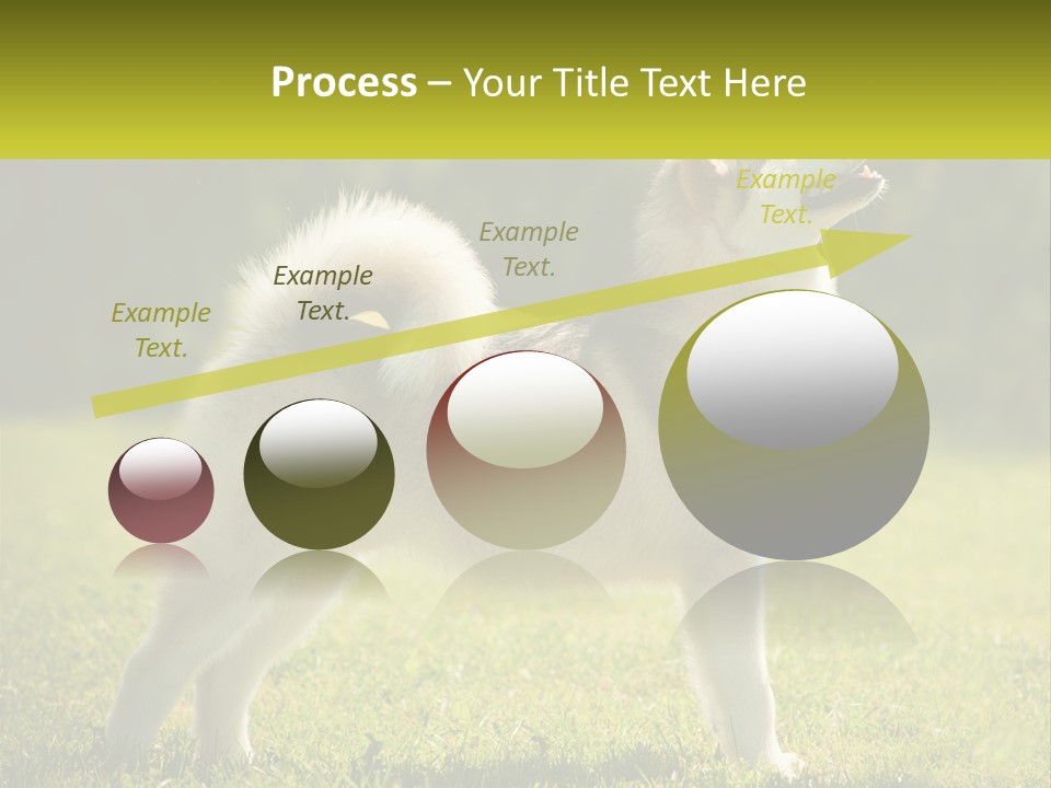 A Dog Standing In The Grass With A Sign In Front Of It PowerPoint Template