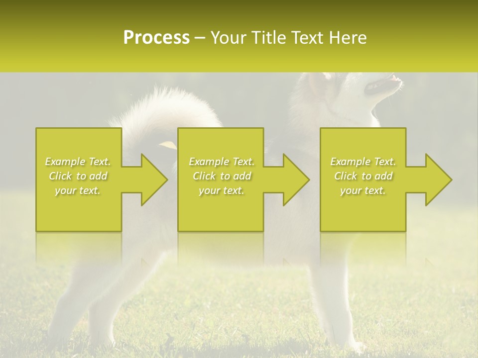 A Dog Standing In The Grass With A Sign In Front Of It PowerPoint Template