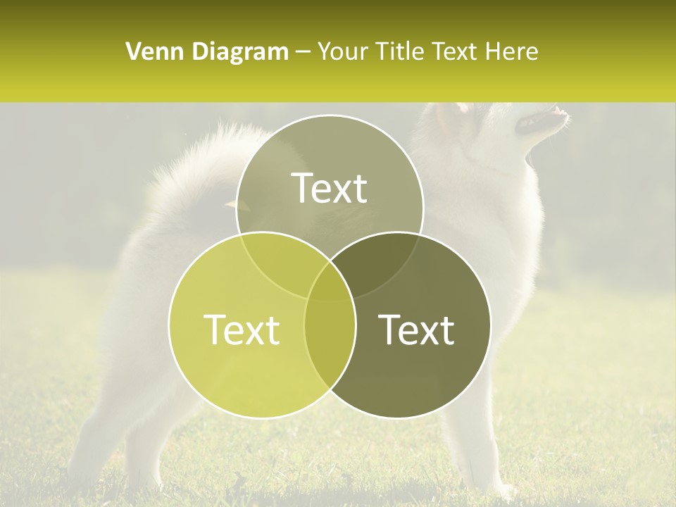 A Dog Standing In The Grass With A Sign In Front Of It PowerPoint Template