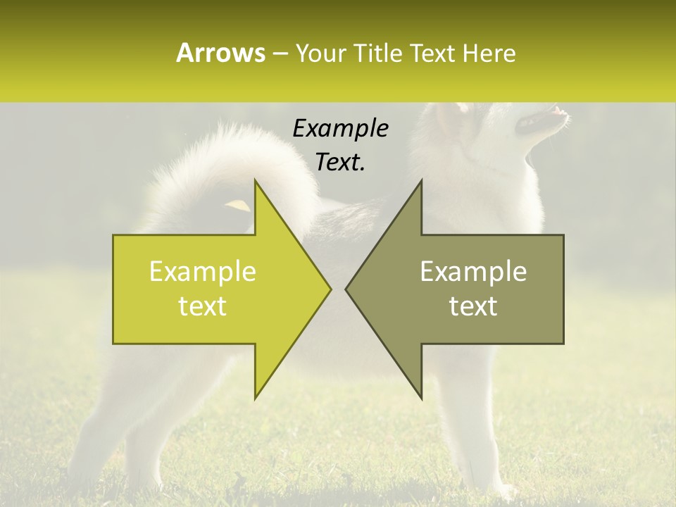 A Dog Standing In The Grass With A Sign In Front Of It PowerPoint Template