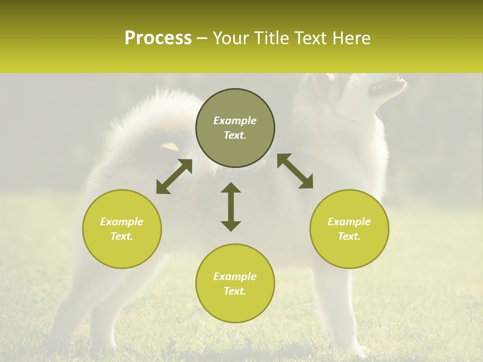 A Dog Standing In The Grass With A Sign In Front Of It PowerPoint Template