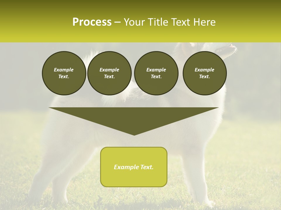A Dog Standing In The Grass With A Sign In Front Of It PowerPoint Template