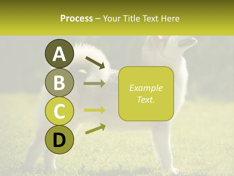 A Dog Standing In The Grass With A Sign In Front Of It PowerPoint Template