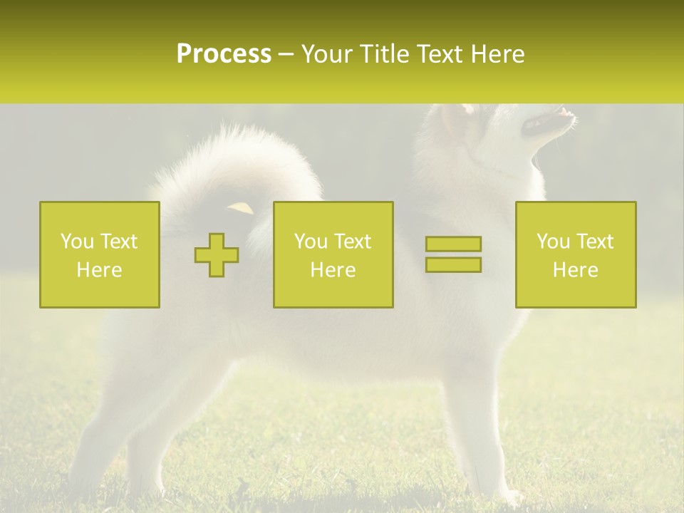 A Dog Standing In The Grass With A Sign In Front Of It PowerPoint Template