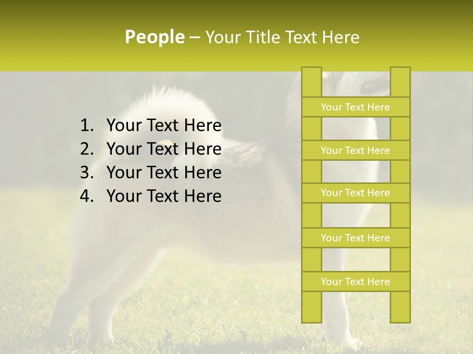 A Dog Standing In The Grass With A Sign In Front Of It PowerPoint Template