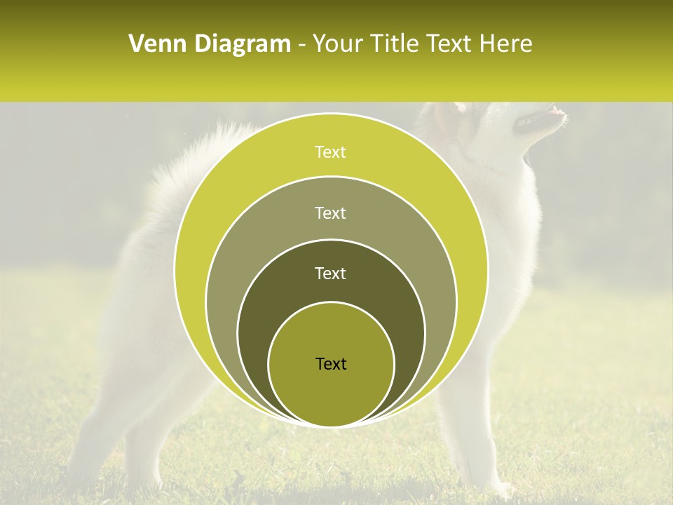 A Dog Standing In The Grass With A Sign In Front Of It PowerPoint Template