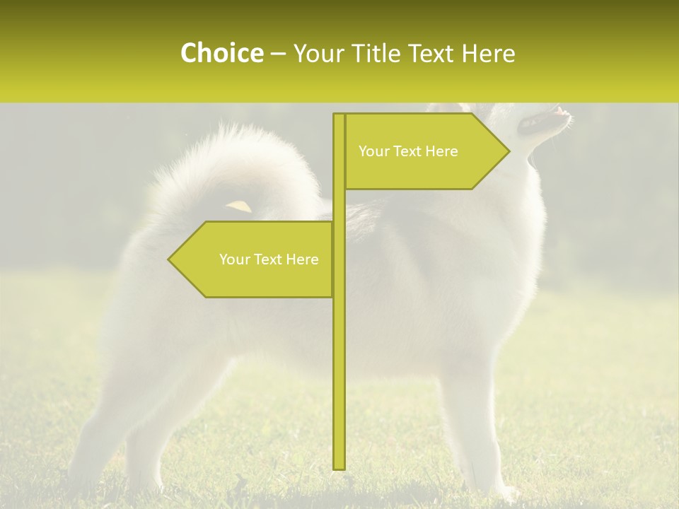 A Dog Standing In The Grass With A Sign In Front Of It PowerPoint Template