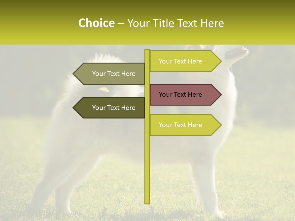 A Dog Standing In The Grass With A Sign In Front Of It PowerPoint Template