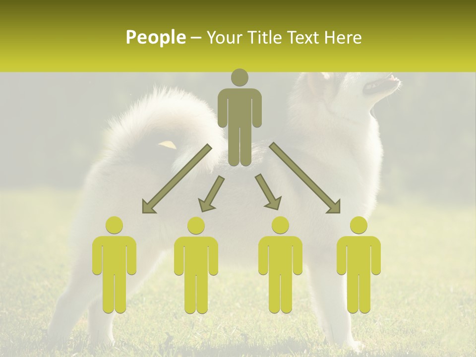 A Dog Standing In The Grass With A Sign In Front Of It PowerPoint Template