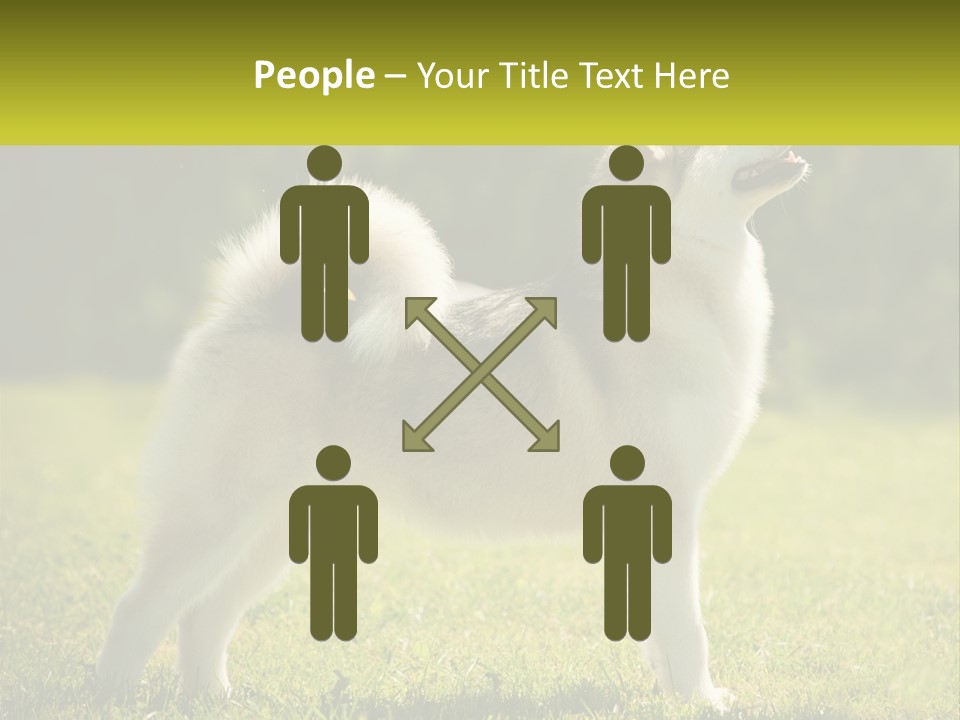 A Dog Standing In The Grass With A Sign In Front Of It PowerPoint Template