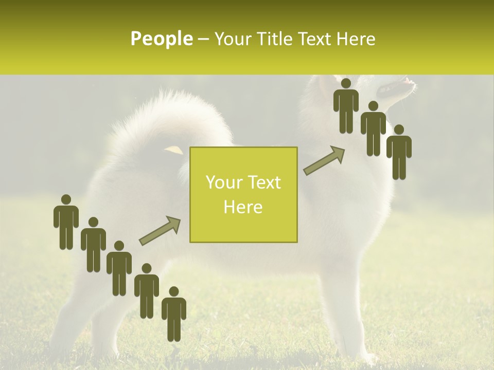 A Dog Standing In The Grass With A Sign In Front Of It PowerPoint Template