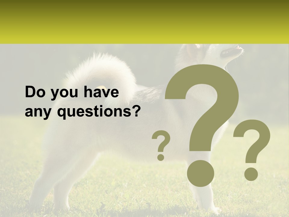A Dog Standing In The Grass With A Sign In Front Of It PowerPoint Template
