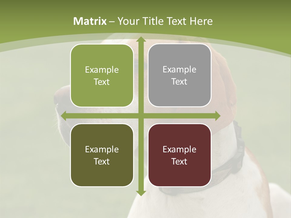 A Brown And White Dog Sitting On Top Of A Green Field PowerPoint Template