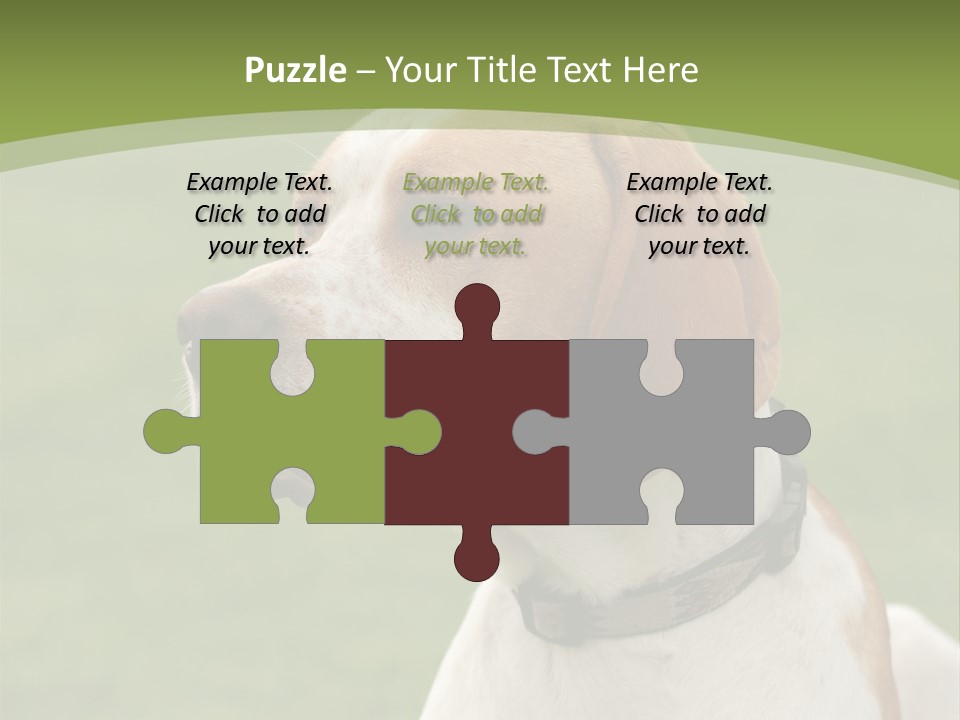 A Brown And White Dog Sitting On Top Of A Green Field PowerPoint Template