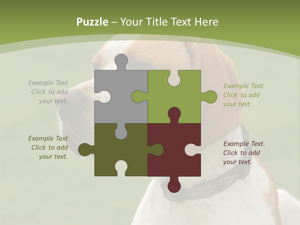 A Brown And White Dog Sitting On Top Of A Green Field PowerPoint Template