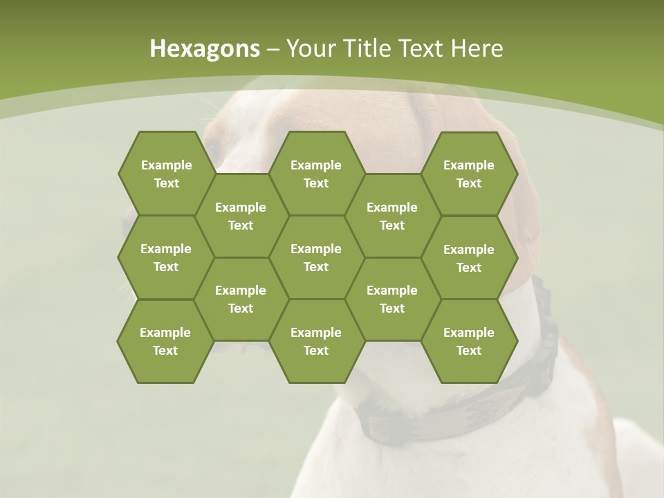 A Brown And White Dog Sitting On Top Of A Green Field PowerPoint Template