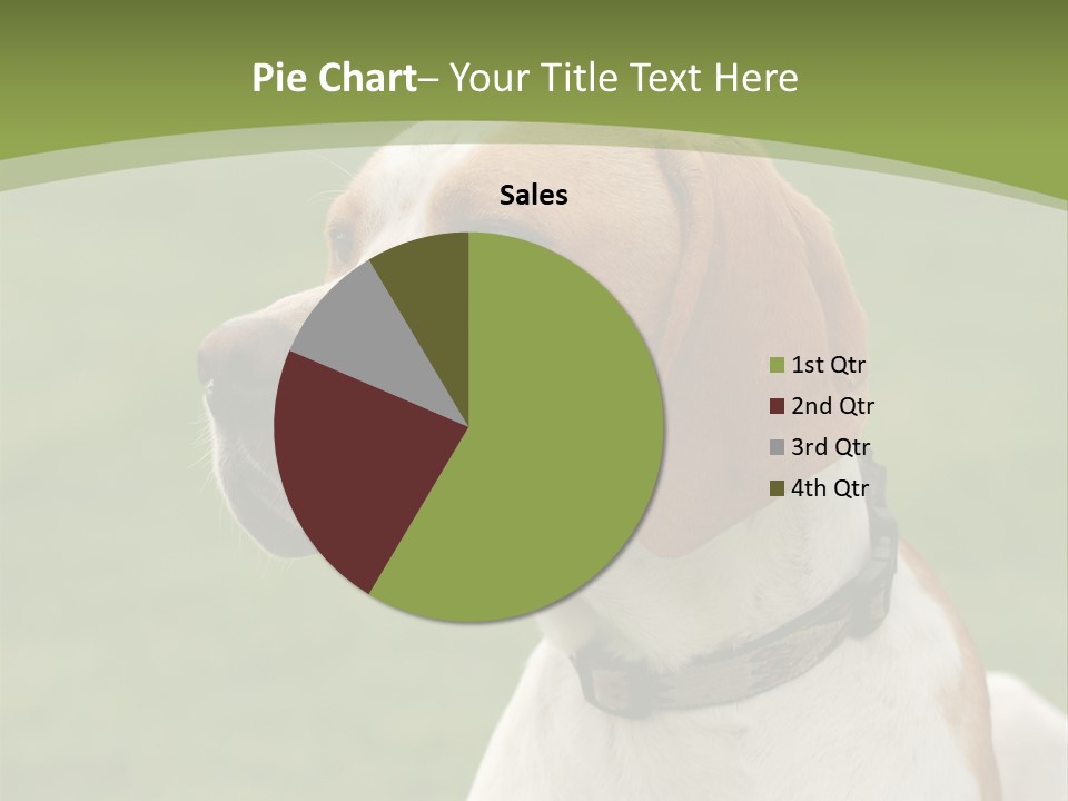A Brown And White Dog Sitting On Top Of A Green Field PowerPoint Template