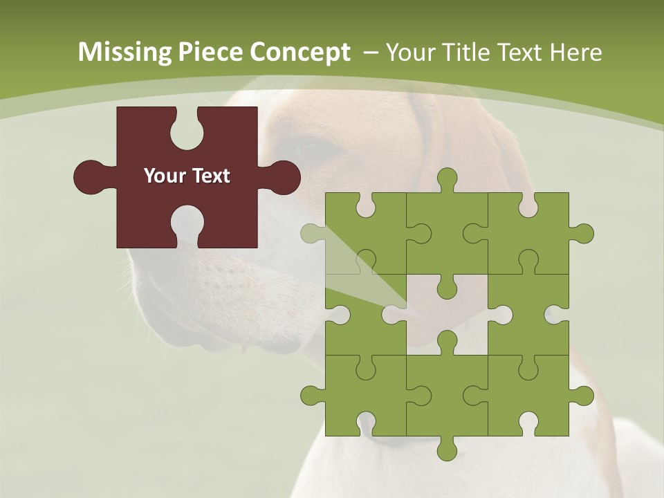 A Brown And White Dog Sitting On Top Of A Green Field PowerPoint Template