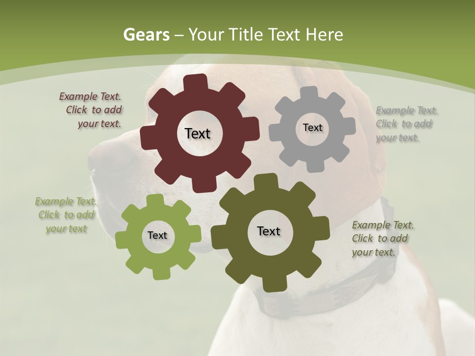 A Brown And White Dog Sitting On Top Of A Green Field PowerPoint Template