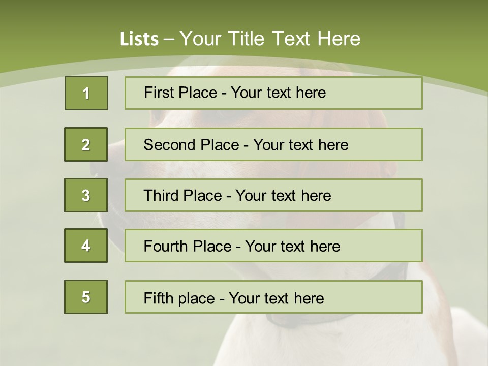 A Brown And White Dog Sitting On Top Of A Green Field PowerPoint Template
