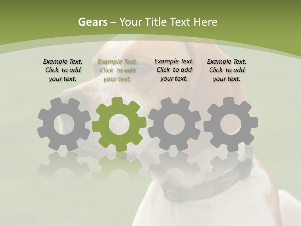 A Brown And White Dog Sitting On Top Of A Green Field PowerPoint Template