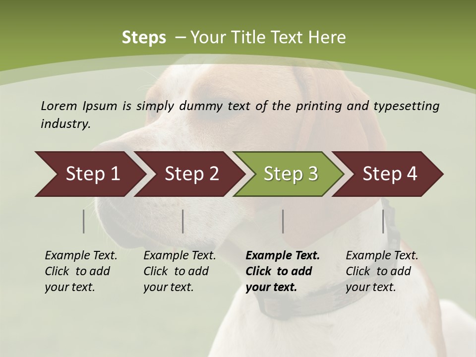 A Brown And White Dog Sitting On Top Of A Green Field PowerPoint Template