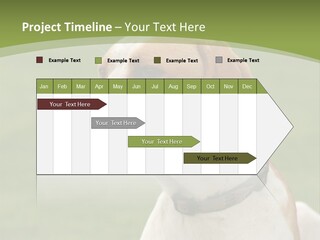 A Brown And White Dog Sitting On Top Of A Green Field PowerPoint Template