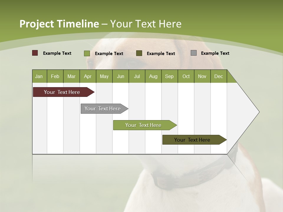 A Brown And White Dog Sitting On Top Of A Green Field PowerPoint Template