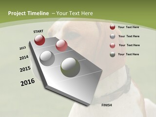 A Brown And White Dog Sitting On Top Of A Green Field PowerPoint Template