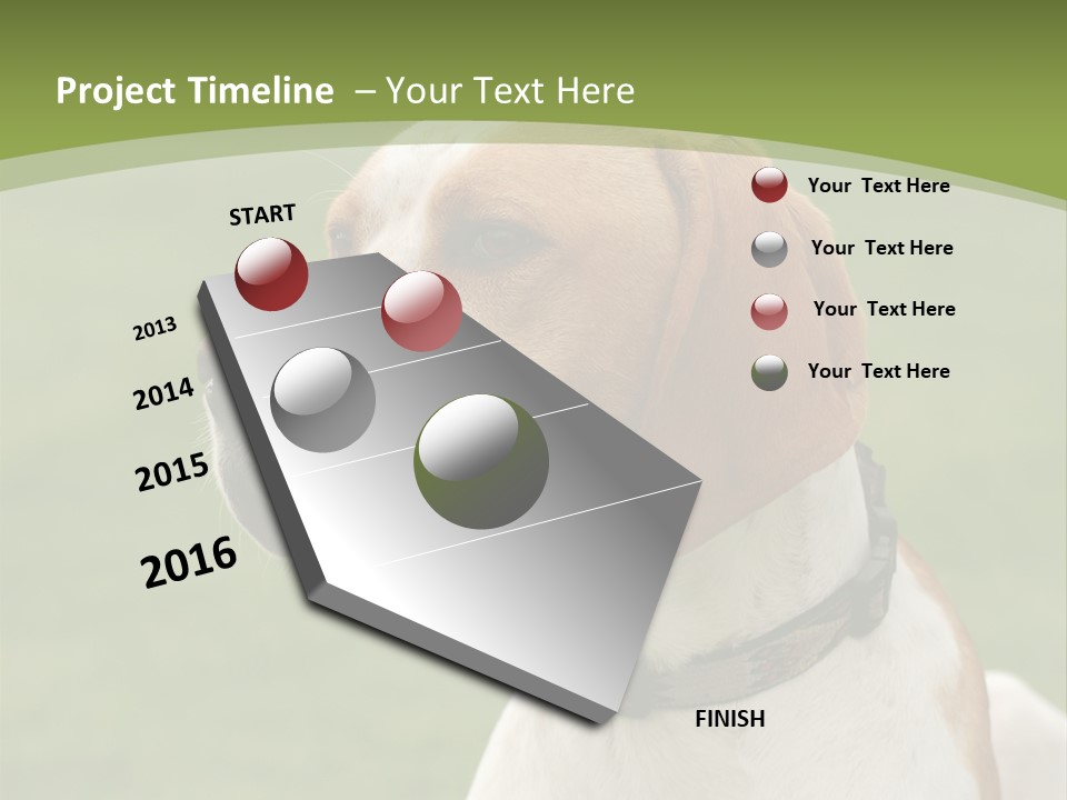 A Brown And White Dog Sitting On Top Of A Green Field PowerPoint Template