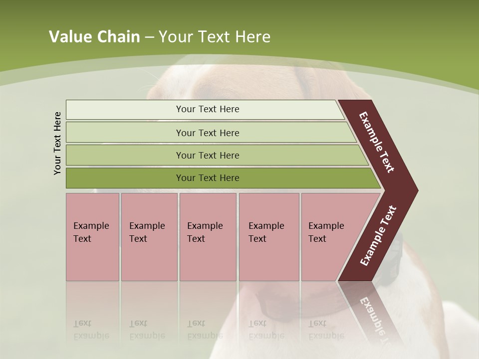 A Brown And White Dog Sitting On Top Of A Green Field PowerPoint Template