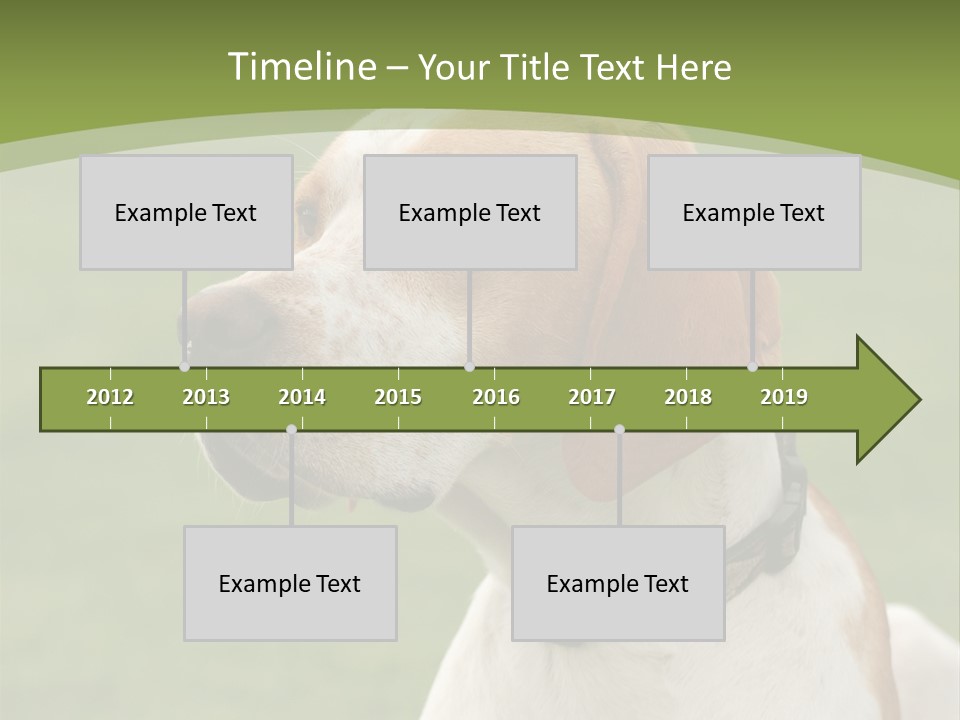 A Brown And White Dog Sitting On Top Of A Green Field PowerPoint Template