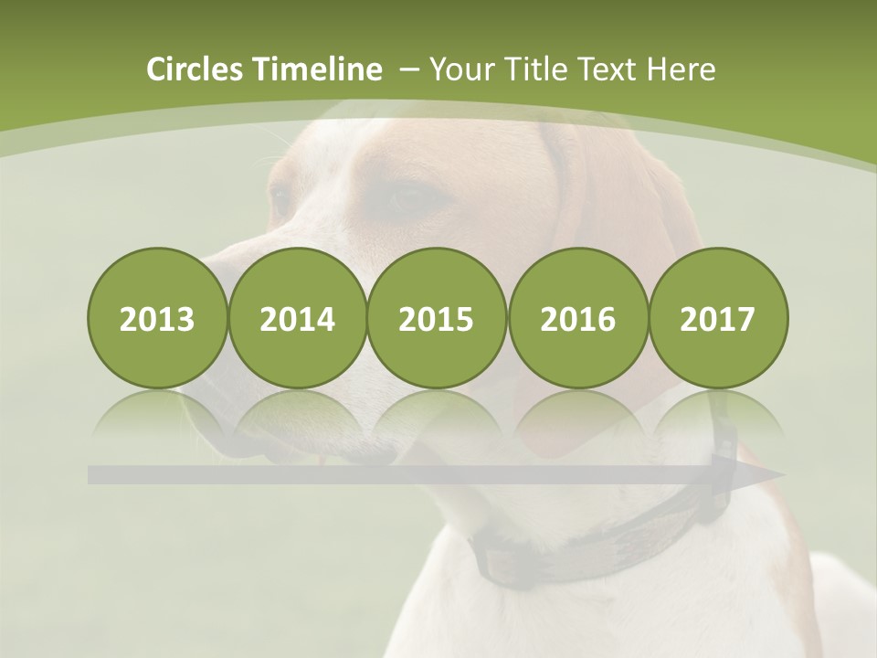 A Brown And White Dog Sitting On Top Of A Green Field PowerPoint Template