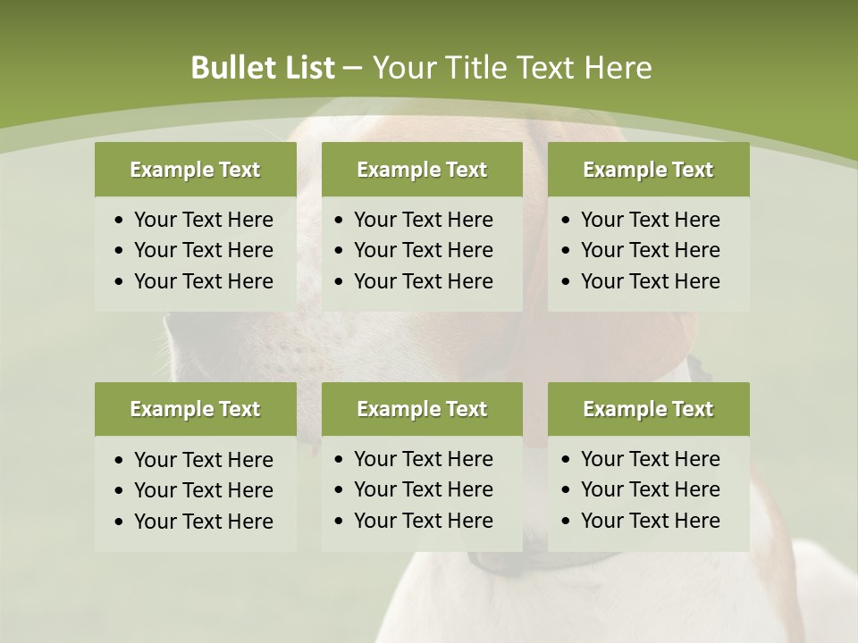 A Brown And White Dog Sitting On Top Of A Green Field PowerPoint Template