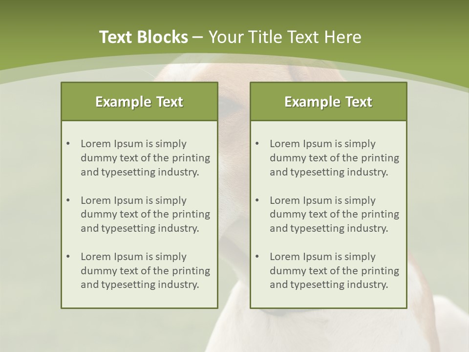 A Brown And White Dog Sitting On Top Of A Green Field PowerPoint Template