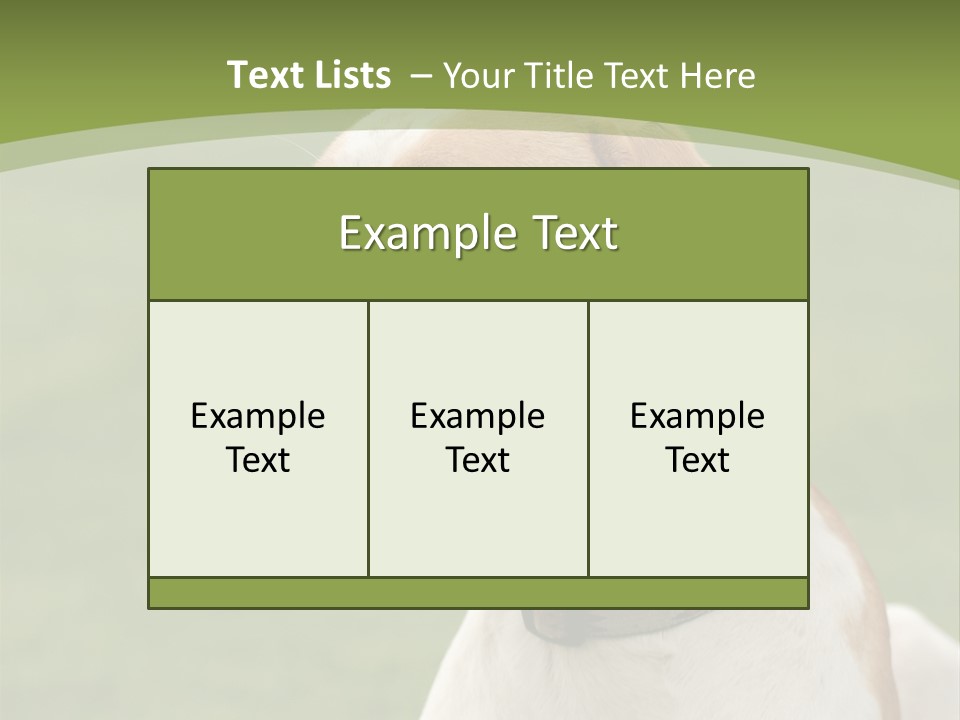 A Brown And White Dog Sitting On Top Of A Green Field PowerPoint Template