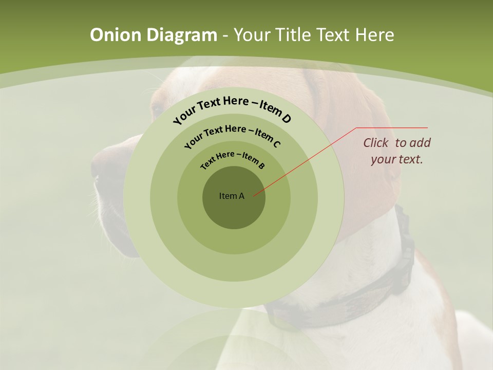 A Brown And White Dog Sitting On Top Of A Green Field PowerPoint Template