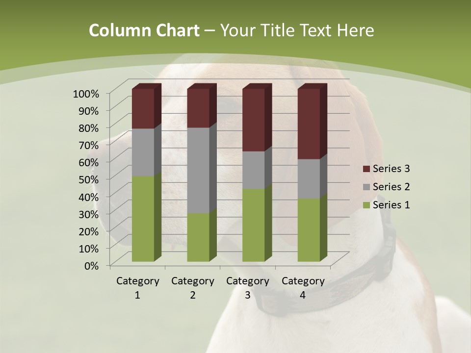 A Brown And White Dog Sitting On Top Of A Green Field PowerPoint Template