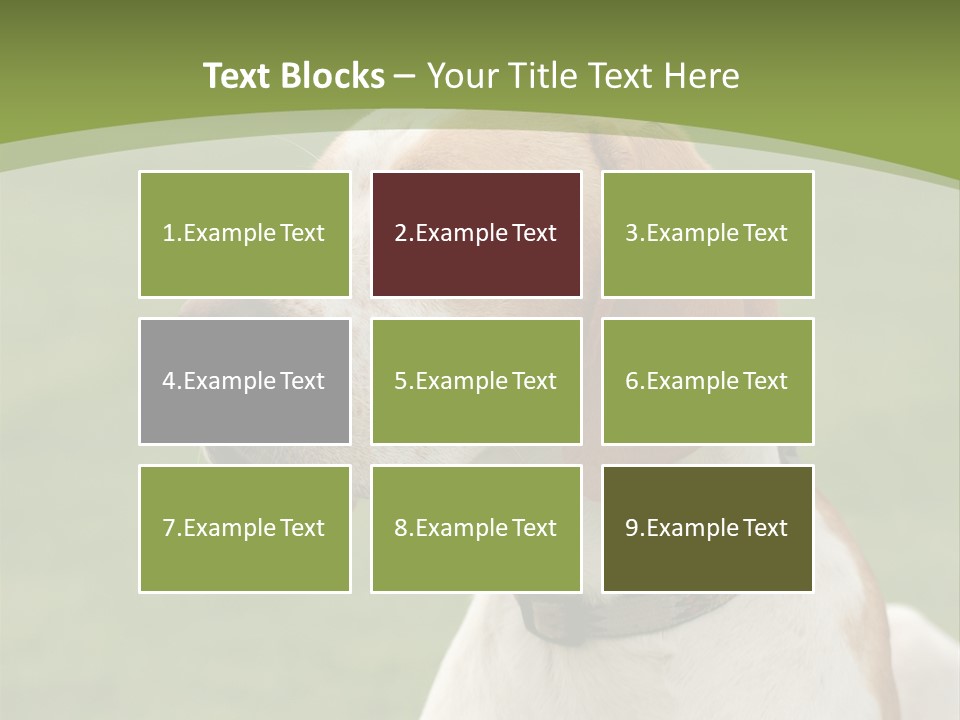 A Brown And White Dog Sitting On Top Of A Green Field PowerPoint Template