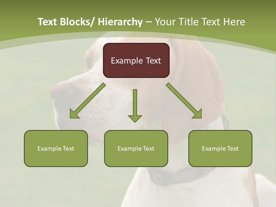 A Brown And White Dog Sitting On Top Of A Green Field PowerPoint Template