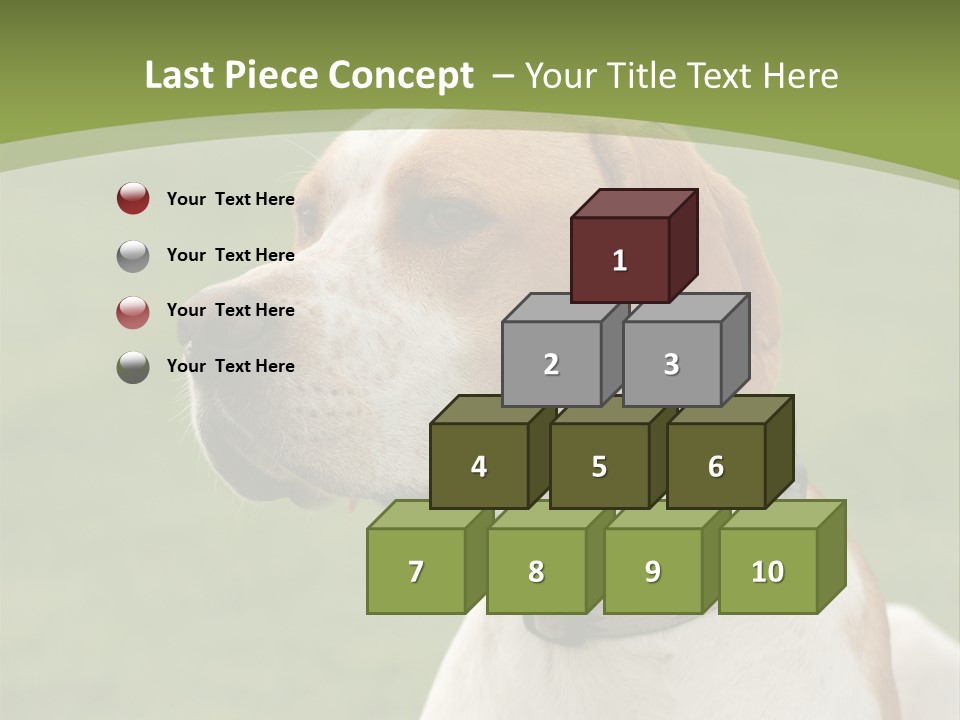 A Brown And White Dog Sitting On Top Of A Green Field PowerPoint Template