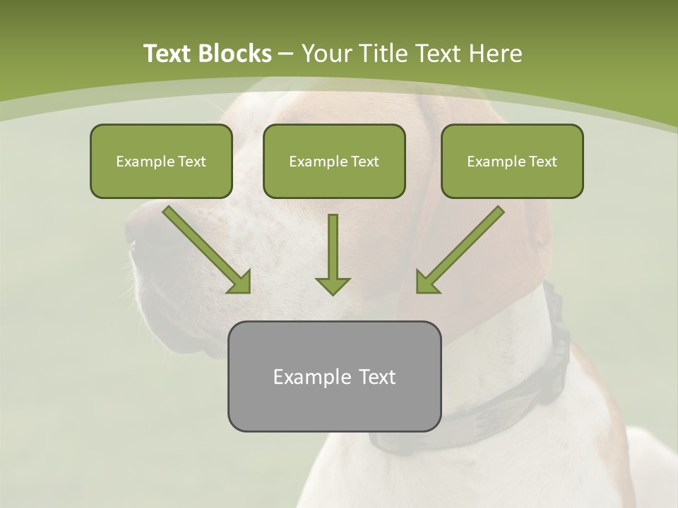 A Brown And White Dog Sitting On Top Of A Green Field PowerPoint Template
