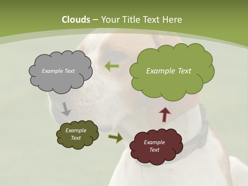 A Brown And White Dog Sitting On Top Of A Green Field PowerPoint Template
